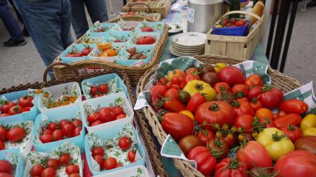 60 Tomatensorten gab es auf dem Uttinger Wochenmarkt zu verkosten und zu bewerten.