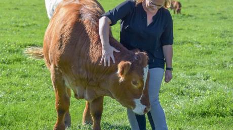 Christine Festner aus Wolfgrub und der Ochse Nini. Die 36-Jährige bietet auf der Festner-Ranch unter dem Stichwort „Soziale Landwirtschaft“ seit Kurzem auch Therapien mit Tieren an. 	