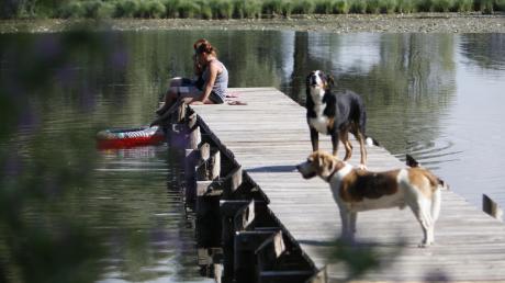 Der Egelsee zwischen Hofsteten und Hagenheim ist auch bei Hunden ein beliebtes Badegewässer. Weil einige Tiere Wasservögel, Bodenbrüter und Jungwild jagen, hat die Gemeinde jetzt eine Leinenpflicht für große Hunde erlassen.