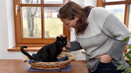 Christine Moser ist froh, dass für die schwarze Kätzin Feli ein Platz in Finning gefunden werden konnte. Ihre Tochter Wutzl lebt auch dort. Tiger und Mogli wurden ebenfalls bereits vermittelt.