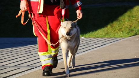 Eine große Vermissten-Suche fand am Donnerstag in Geltendorf statt. Im Einsatz waren auch Suchhunde.