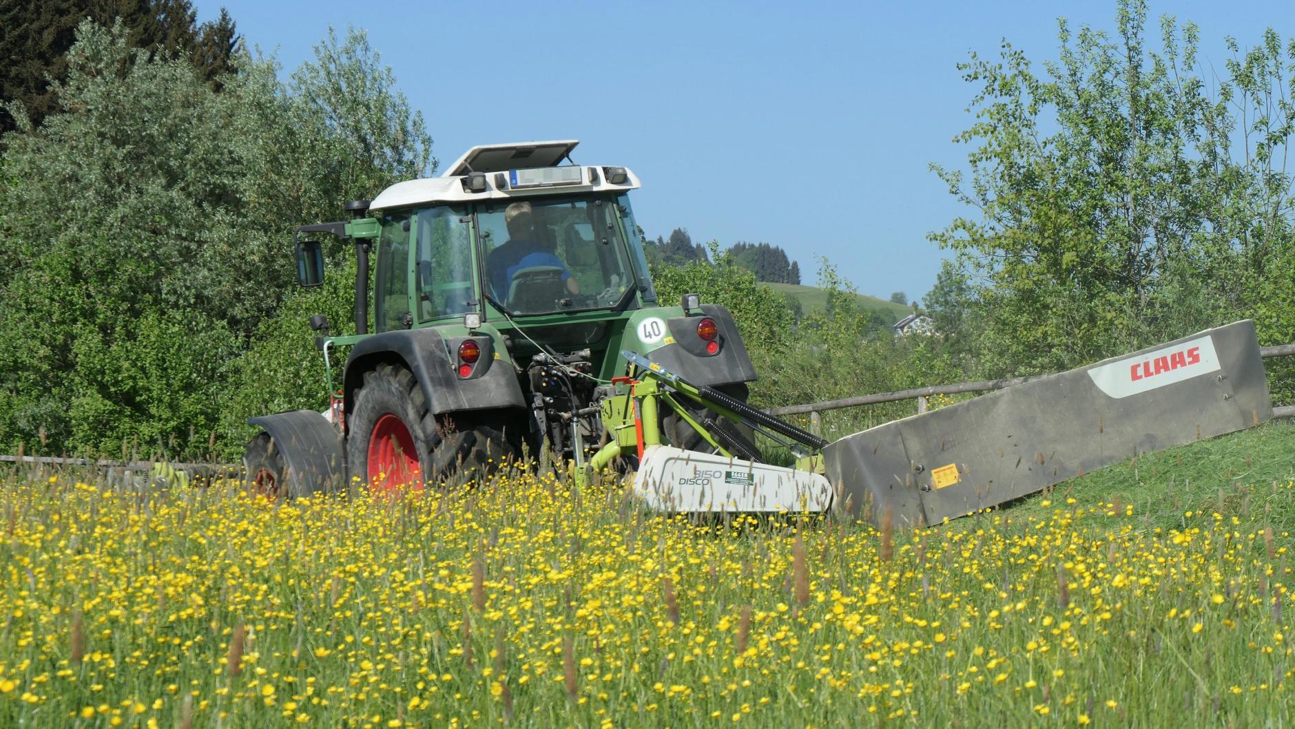 Landwirtschaft: Darf man ohne Führerschein Traktor fahren? | Augsburger
