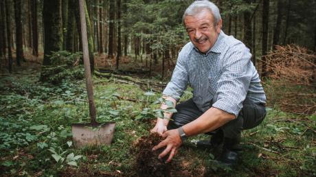 Quirin Krötz kandidiert nicht wieder als Bürgermeister in Rott. Für die Zeit danach hat er schon einige Ideen. Eine davon ist, seinen Fichtenwald mit Laubbäumen umzubauen, die den Klimawandel vertragen.