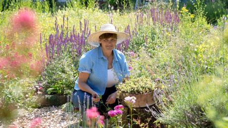 Urwüchsig und wild erscheint der Garten von Christa Bauer. Und tatsächlich geht es der Vorsitzenden des Gartenbauvereins Weil nicht nur um schöne Blüten: Diese sollen auch insektenfreundlich sein. 