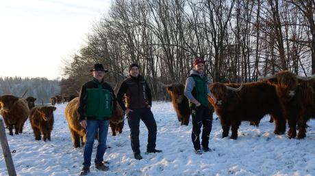 Die Highland Cattles  sind ein beliebtes Fotomotiv: Ernst, Dominik und André Strobl (von links) haben sich aber nicht nur wegen des Aussehens für diese Rasse entschieden. 