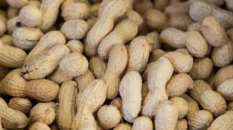 Erdnüsse schmecken gut und sind gesund: Sie haben einen vergleichsweise hohen Gehalt an Niacin (Vitamin B3).