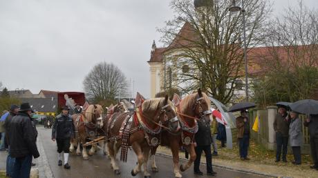 Prächtige Pferdegespänne sind am Sonntag beim Leonhardiritt in Unterliezheim zu sehen.