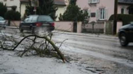 Sturm knickt Äste in der Franz-Beck-Straße in Aichach
