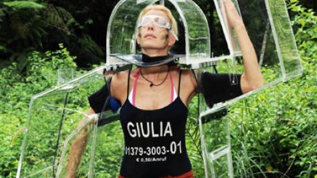 In einem Glaskäfig sollte Giulia Siegel ausharren, während über sie Kakerlaken, grüne Ameisen, Frösche, Ratten und Spinnen geschüttet wurden. 
