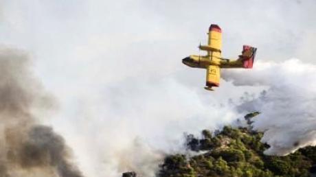 Waldbrände und Hitze in Spanien und Portugal
