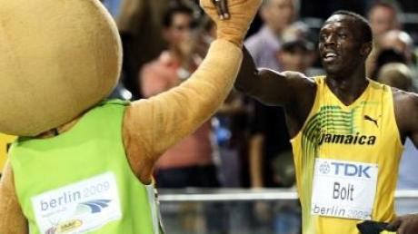 WM-Maskottchen Berlino holt gegen Knut auf
