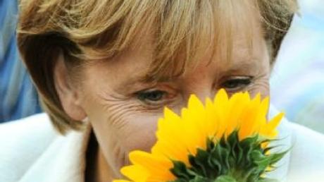 Merkel: Auch bei einer Stimme Mehrheit mit der FDP