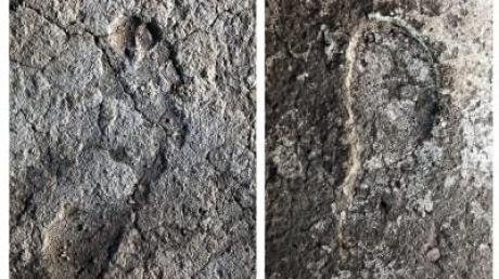 Antike Fußstapfen unter Mosaik in Israel