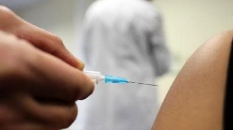 Dax-Konzerne rüsten sich gegen Schweinegrippe