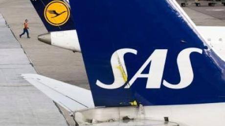 SAS wirft sich Lufthansa an den Hals
