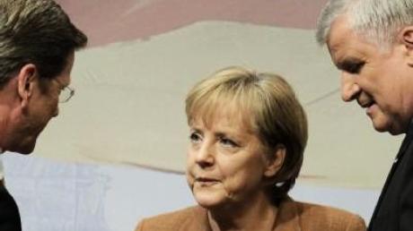 Grünen-Chefin kritisiert Köhlers «lautes Schweigen»