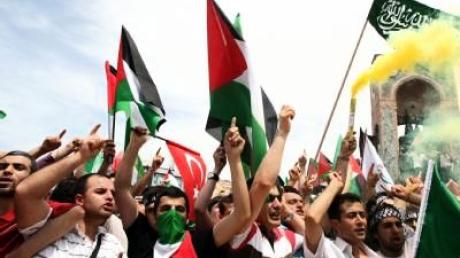 Gaza-Aktivisten geben nicht auf