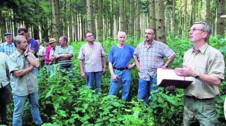Waldbegang mit der Forstbetriebsgemeinschaft Neu-Ulm, Karl-Heinz Fink, ganz rechts, Revierleiter Oberelchingen, erklärt wie man den Wald fit für den Klimawandel macht. Foto: Anja Schuster