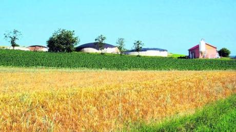 Die Biogasanlage von Landwirt Klaus Jekle aus Edelstetten versorgt ab Oktober die neue Volksschule und die Sporthalle in Neuburg mit Wärme. Foto: Landratsamt