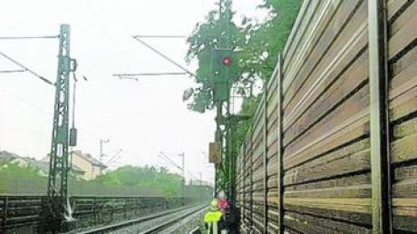 Weil ein Ast auf die Oberleitung gefallen war, musste das Gleis gesperrt werden. Foto: Feuerwehr Ingolstadt