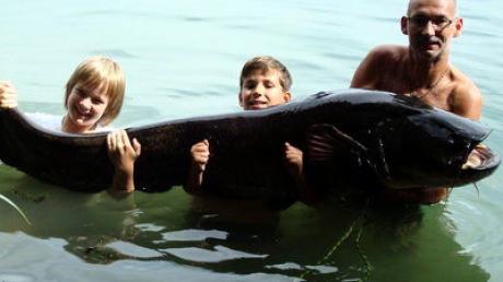 Die Eppisburger Familie Löffler hat einen Riesenwaller gefangen.