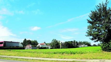 Zwischen Breitenweg und Kolpingstraße in Steppach soll ein neues Wohngebiet entstehen. Das Foto zeigt den Blick auf die Fläche von der Ulmer Straße aus. Foto: Regine Kahl