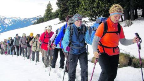 Durch hohen Schnee marschierten die Wanderer des Deutschen Alpenvereins aus der Sektion Schwabmünchen auf den Edelsberg. Foto: DAV Schwabmünchen