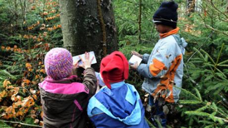 Nicht nur für Kinder und Jugendliche soll der Walderlebnispfad in Ried errichtet werden.
