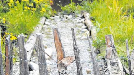 Wird das Wasser künftig ausgesperrt? In den Sommerferien will das Landratsamt entscheiden, ob der Brunnenbach, hier ein kleiner Zufluss am Naturlehrgarten in Mindelheim, trockengelegt wird. 