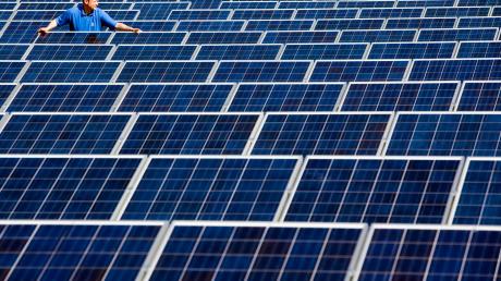 Das Bundeskabinett hat am Mittwoch Einschnitte bei der milliardenschweren Solarförderung von 20 bis knapp 30 Prozent beschlossen. 