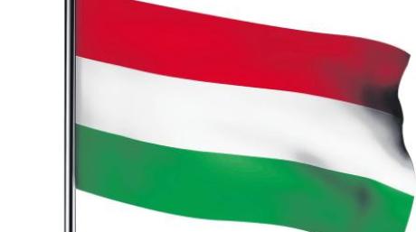 Eine ungarische Flagge.