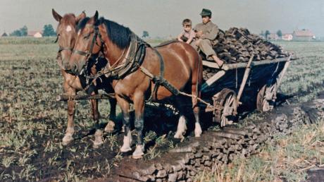 Mit Pferd und Wagen wurden die Wasen aus dem Moos geholt. Die Sonderausstellung „Mensch und Moor“ im Bauernhofmuseum Illerbeuren erinnert an den Torfabbau, der auch im Unterallgäu bis in die Sechziger Jahre alltäglich war. 