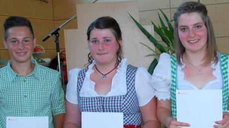 Jahrgangsbeste beim Quali-Abschluss der Klasse 9a sind Manuel Schalk, Karina Lampert und Barbara Maucher (von links).  
