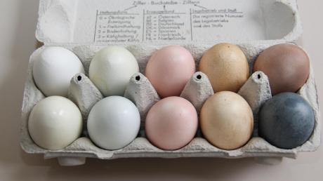 Auch Naturfarben machen die Eier bunt: (oben von links) weißes Vergleichsei, Schachtelhalm, Birkenrinde, Kaffee, Rote Beete; (unten von links) Karotte, Blaukraut, Birkenrinde, Kaffee und Malventee.