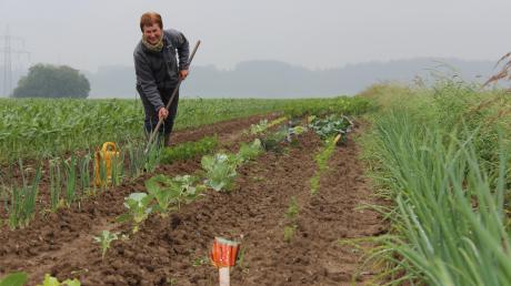 Markus Hemmerles Mutter Wilhelmine bewirtschaftet ihren eigenen kleinen Streifen neben dem Maisfeld mit einem Gemüsegarten. Sowohl für sie als auch für ihren Sohn ist der Juni der Monat des Hegens und Pflegens.