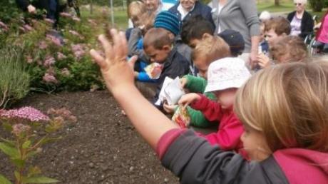 Auch Pflanzaktionen gehören in den Kindertagesstätten zum Programm der "ÖköKids." 