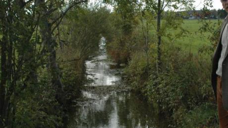 Im östlichen Teil des Gemeindegebiets soll ein Wasserlauf neben dem Hungerbach bei Starkregen Wasser aufnehmen. 	