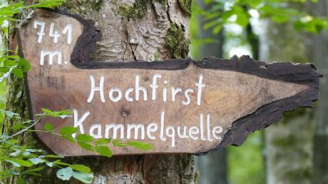 Es ist nicht mehr weit zur Kammelquelle und dem Hochfirst im Wald, glaubt man diesem Schild. 