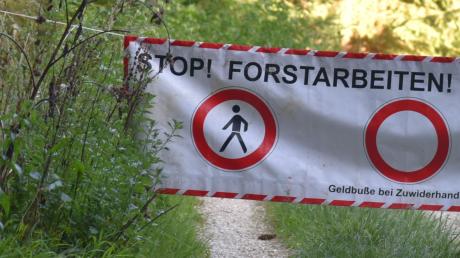 Bei Waldarbeiten in Böhmfeld ist ein 52-Jähriger tödlich verunglückt.	