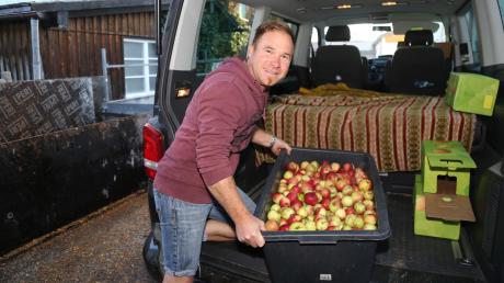 Robert Simml mit einem kleinen Bruchteil seiner Äpfel. Im vergangenen Jahr hat sein Birnbaum gerade einmal zwei Birnen getragen, heuer war er voll. 