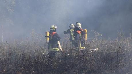 Waldbrand zwischen Altensteig und Mindelau. 