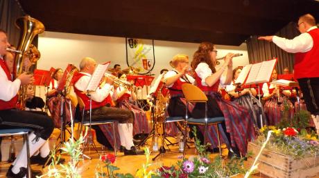 Mit einem abwechslungsreichen Jahreskonzert begeisterte die Musikvereinigung Immelstetten-Mittelneufnach ihr Publikum. 	