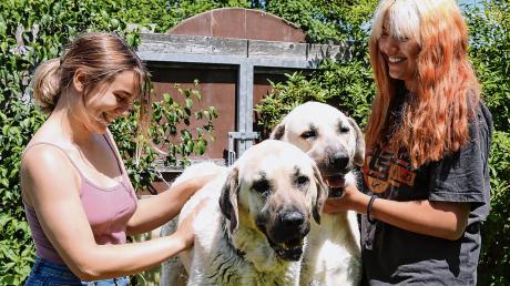 Vier, die sich ganz offensichtlich richtig gut verstehen: Elisabeth Leiß (links) und Lavinia Weber kümmern sich im Tierheim Beckstetten um Aras und Artesch, zwei türkische Kangals, Herdenschutzhunde also. 
