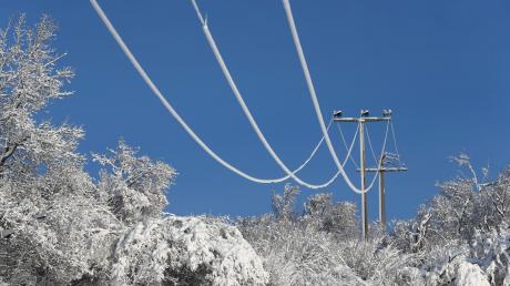 Starke Schneefälle werden auch zur Belastung für Stromleitungen und Bäume. 