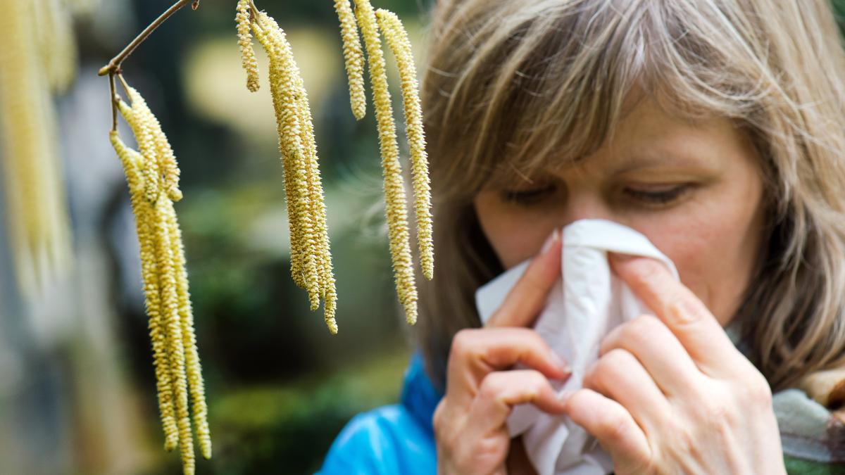 #Unterallgäu: Pollenflug setzt Allergikern im Unterallgäu zu