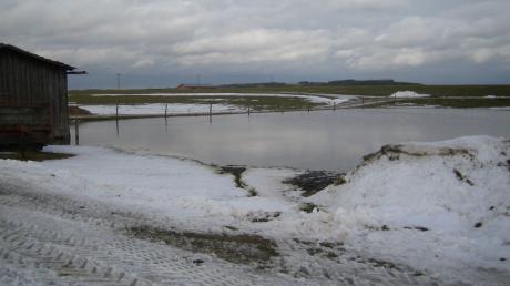 Im Winter 2006 standen die Wiesen hinter dem geplanten Edeka-Standort in Oberkammlach unter Wasser. 