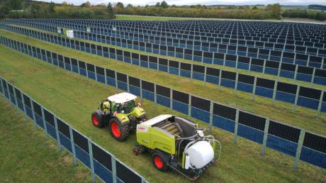 Solarstrom gewinnen, ohne die landwirtschaftliche Fläche zu blockieren: Das ist die sogenannte Agri-Photovoltaik. Das Bild ist im Unterallgäu entstanden. In Bergheim wird die Anlage wohl nicht ganz so groß.