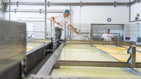 Im Milchwerk Bad Wörishofen werden jedes Jahr mehr als 16.000 Tonnen Käse hergestellt. 