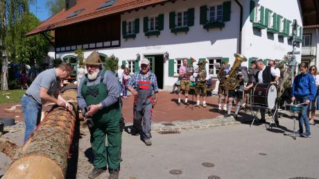 Vor dem Guggerhaus verzieren Mitglieder des Trachtenvereins mit musikalischer Begleitung der Irsinger Musikanten die stattliche Fichte. 