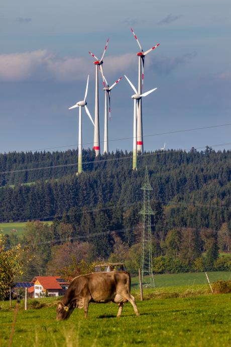 Soll ein häufigeres Bild werden: Mitten in den Wald gebaute Windräder. Ministerpräsident Söder will es, RWE auch.